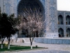 tn_2003-k-semerkant-ozbekistan-54
