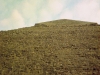 086-1974-26-aralik-misir-kahire-kefren-piramidi
