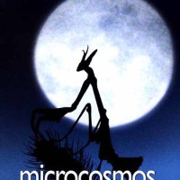 Microcosmos – Le Peuple De L’herbe – Çayırın Sakinleri